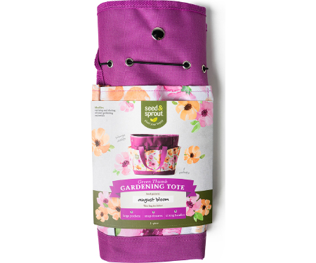 D37 SNSBAG2AB